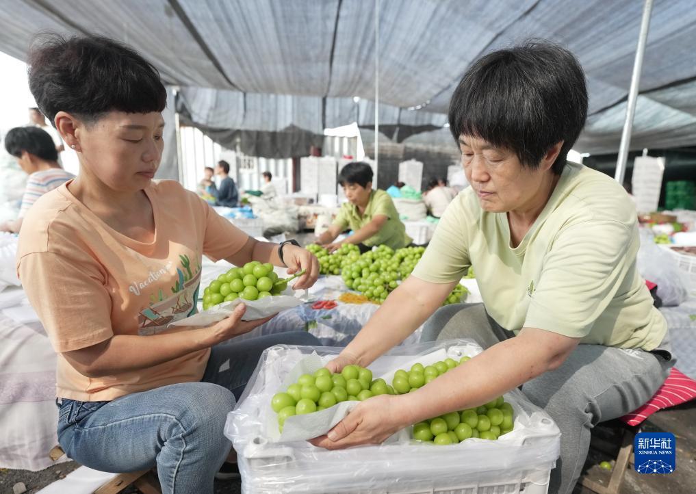威尼斯人69655.com